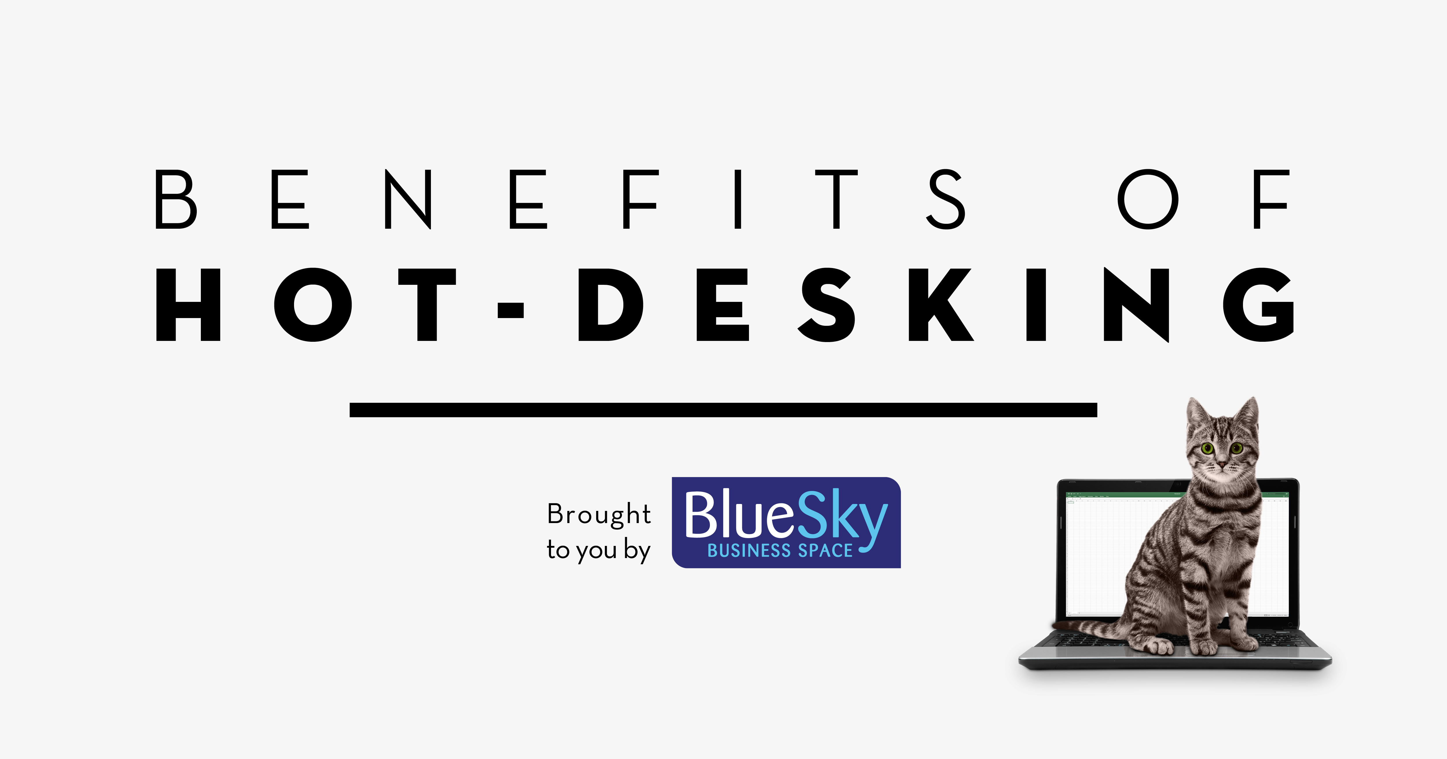 8 Reasons Why You Should Consider Hot Desking Bluesky Business Space